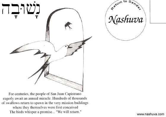 Post Card